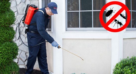 Zeytinburnu Bit İlaçlama böcek ilaçlama ve haşere kontrolü — ilaclama-tr.com